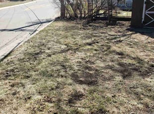 Cleanups by Anthony Grant for Brian M. in Columbia Heights, MN