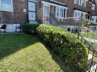 Bush Trimming by Darren Burch for Jane M. in Philadelphia, PA