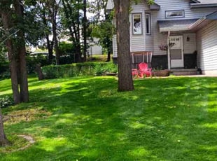 Ray J.'s Lawn Care service result