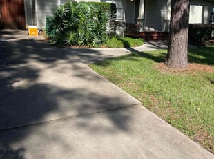 Bush Trimming by Shun Baker for Charles M. in Tallahassee, FL