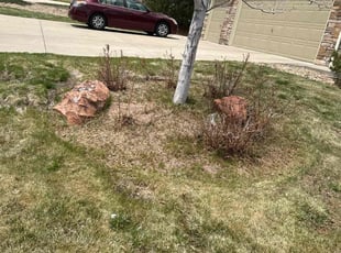 Cleanups by Joshua Hines for Izabela F. in Parker, CO