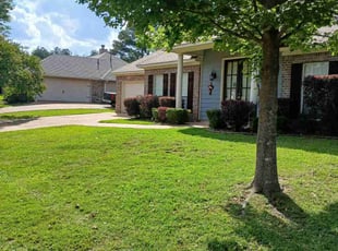 Bush Trimming by Jeff Parker for JoAnn C. in Brandon, MS
