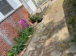 Cleanups by Antonio McPherson for Lee R. in Bedford, OH