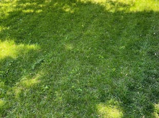 Cleanups by Tom Davis for Eric G. in Denver, CO