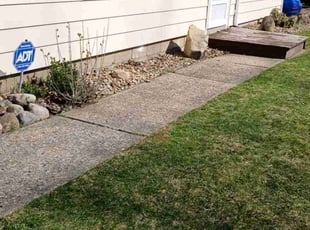 Leaf Removal by Jasper Trotter for Anna P. in Cuyahoga Falls, OH