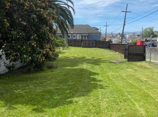 Ramon O.'s Lawn Mowing Service service result