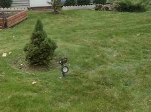 David K.'s Lawn Service service result