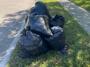 Leaf Removal by William Thayer for Ludwige F. in Land O' Lakes, FL