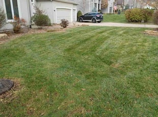 Leaf Removal by Charles Ridge for Emmitt m. in Lenexa, KS
