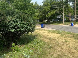 Bush Trimming by Ismael Lozano for Kristen D. in Saint Paul, MN