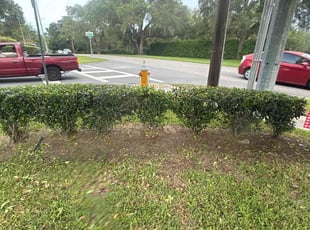 Bush Trimming by Ramon Taguja for Robert S. in Lakeland, FL