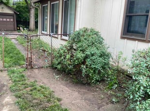 Bush Trimming by Garrick Murphy for Jane M. in Kansas City, MO