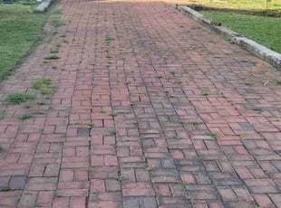 Cleanups by Joshua West for Stephanie Q. in Richmond, VA