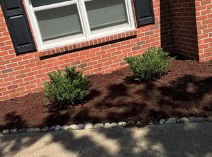 Mulching by Taylor Dodson for karima r. in Virginia Beach, VA
