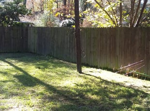 Cleanups by Linda Jones for Dorothy W. in Spring, TX