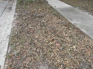 Cleanups by Michael Van Deest for Joshua M. in Casselberry, FL