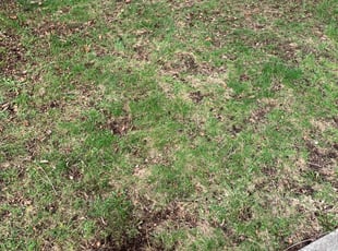 Cleanups by Kelvin Dertz for Joshua K. in Milwaukee, WI