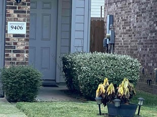Bush Trimming by Yennifer Campos for Brenda C. in Houston, TX
