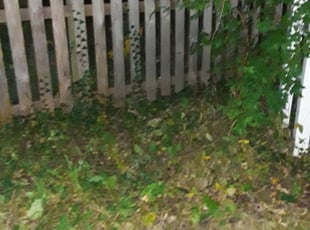 Weeding by Garrett Howell for Bobby & Lisa P. in Kansas City, MO