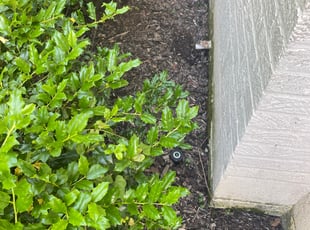 Landscaping by Christopher Shive-Salvador for Brandon H. in Nashville, TN