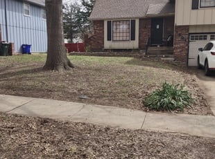 Leaf Removal by Melvin Lopez for Diana B. in Olathe, KS
