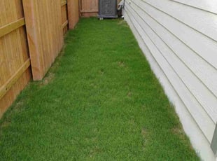 Weeding by Martin Mata for Dan S. in Dripping Springs, TX