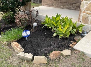 Weeding by Stanmore Hinds for Katrina G. in Schertz, TX
