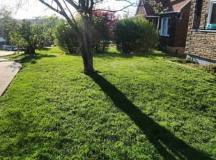 Sheldon K.'s Lawn Care service result