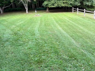 Joe S.'s Lawn Mowing Service service result