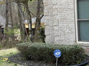 Weeding by Tyrone Blaylock for Caitlin R. in Arlington, TN
