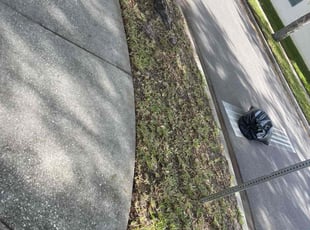 Leaf Removal by Moses Chinquee for Andrew B. in Windermere, FL
