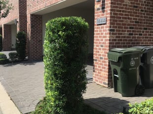 Bush Trimming by Miguel Arceo for Rebecca K. in Sugar Land, TX