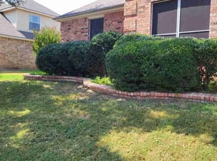 Rowena M.'s Bush Trimming service result
