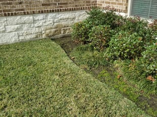 Weeding by Louis Leneir for Joan S. in Crosby, TX
