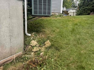Cleanups by Larry Purviance for Aubrey B. in Saint Charles, MO