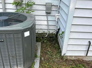 Bush Trimming by Hemayet Uddin Ahmed for Alicia S. in Virginia Beach, VA