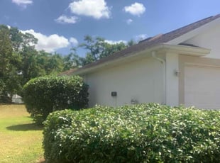 Bush Trimming by Tammy Melendez for Dustin B. in Plant City, FL