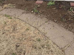 Cleanups by Thad Anderson for Chelsea G. in Omaha, NE