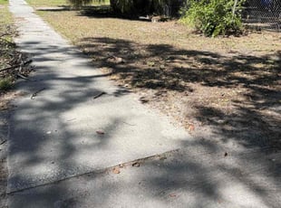 Leaf Removal by Luis Aviles for Doris C. in Winter Haven, FL