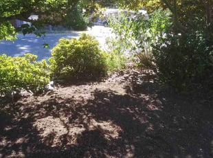 Weeding by Amy Reddy for Holly S. in Seattle, WA