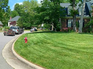 jessica G.'s Lawn Mowing service result