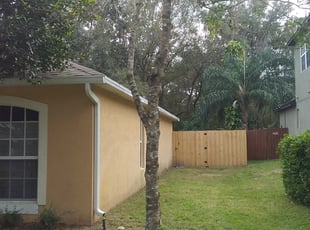 Bush Trimming by Brian Parker for Grant B. in Lutz, FL