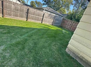 Anthony B.'s Lawn Service service result