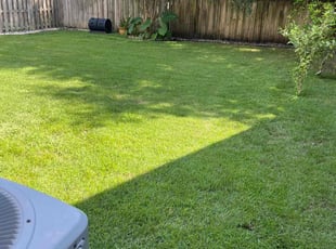 Siggesbee g.'s Lawn Mowing Service service result