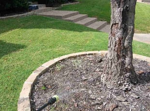 Scott S.'s Cleanups service result