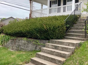 Bush Trimming by Joel Laumas for Joseph D. in Lexington, KY