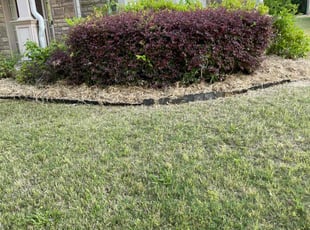 Cleanups by Dutch Lawn Care for James B. in Dacula, GA