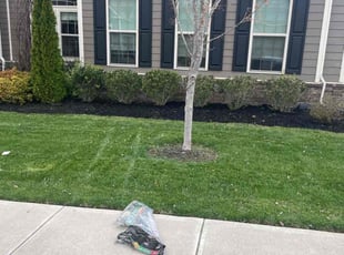Mulching by Lora Thoren for Marshall H. in Franklin, TN