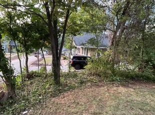 Cleanups by Jake Elrod for Inge L. in Greenville, SC