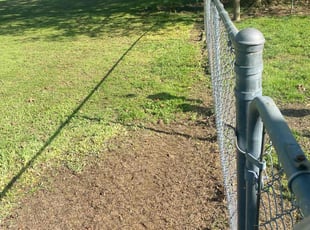 Leaf Removal by Tyler Brigman for Martha H. in Lexington, NC